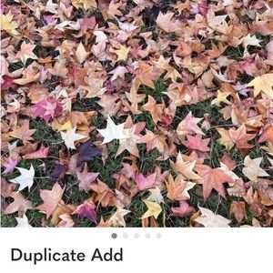 Bikini set with matching wrap